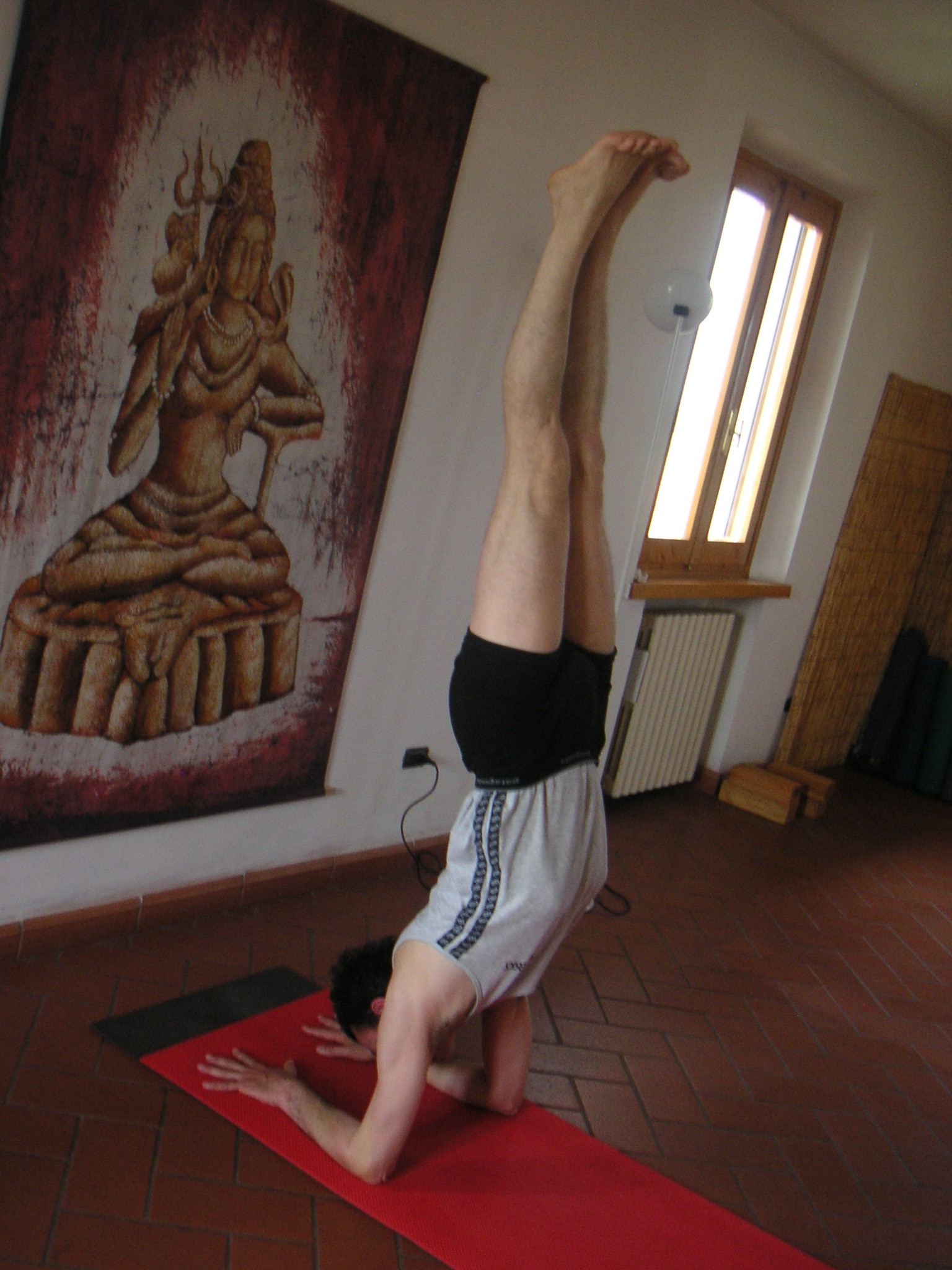 La Stella (FI), 2004